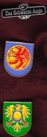 Das Schwarze Auge Pins