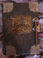 Die besonders luxuri�se Ausstattung des 'Liber Cantiones'